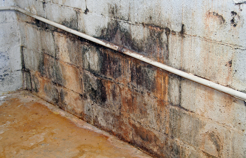 water-damaged-wall